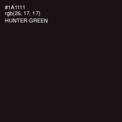 #1A1111 - Hunter Green Color Image